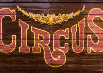 Martinus-Schule Holzheim bekommt Note 1 für Projektwoche im Zirkus